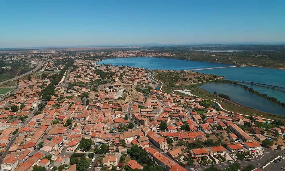 Élagage Provence Nature à Fos-sur-Mer