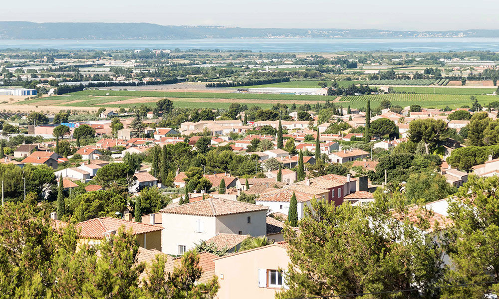 Élagage Provence Nature à La Fare-les-Oliviers