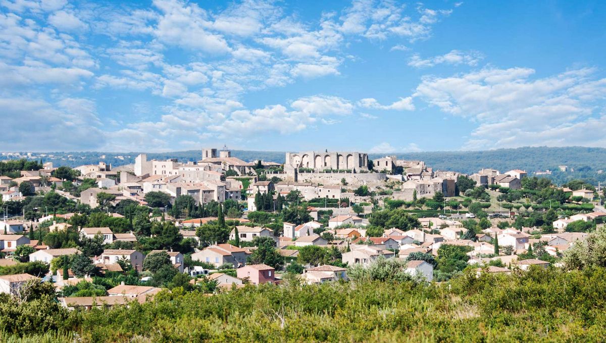 Élagage Provence Nature à Lançon-Provence