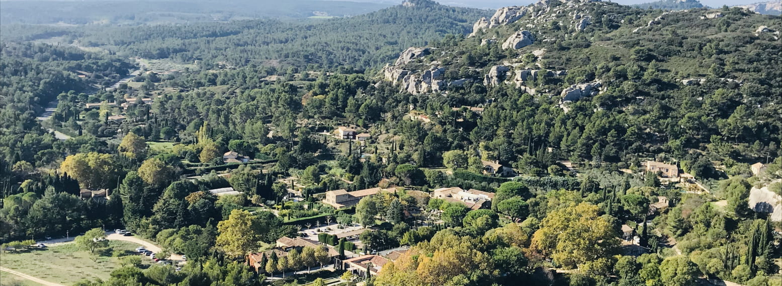 Élagage Provence Nature à Paradou