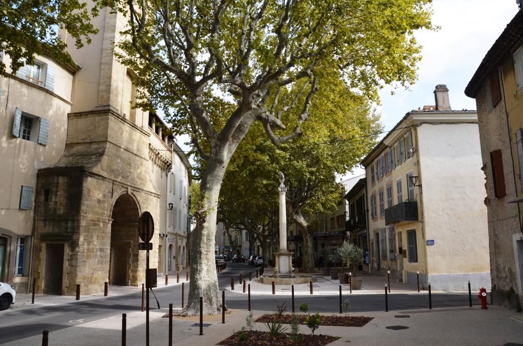 Élagage Provence Nature à Pélissanne