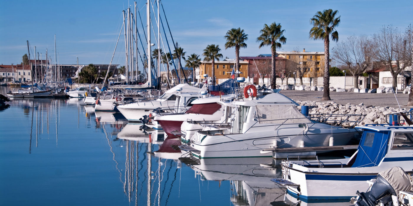 Élagage Provence Nature à Port-Saint-Louis-du-Rhône