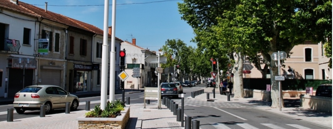 Élagage Provence Nature à Saint-Martin-de-Crau